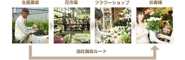 仕入ルート
