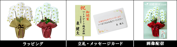 サービス概要