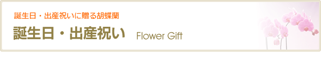 3祝で/></div>
<hr class=