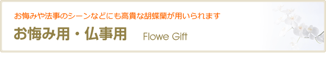 ぴ 仏亶3/></div>
<hr class=