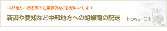 新潟や愛知など中部地方への胡蝶蘭の配送