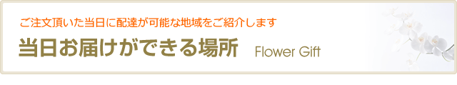 P   ザ?