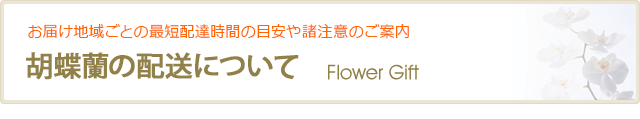   /></div>
<hr class=
