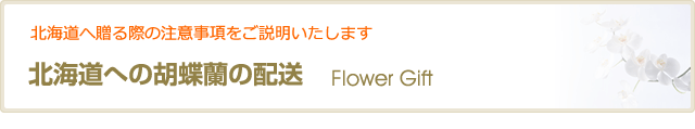 奦へ/></div>
<hr class=