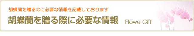 胡蝶蘭を贈る際に必要な情報