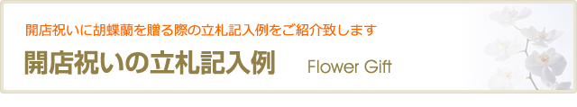 閶YD  立入