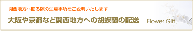 大阪や京都など関西地方への胡蝶蘭の配送