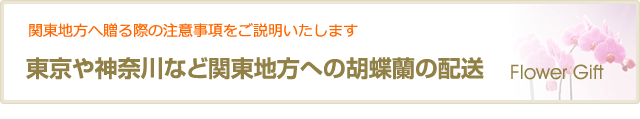 京エDDV /></div>
<hr class=