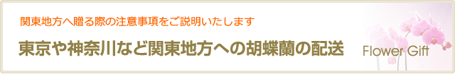 東京や神奈川など関東地方への胡蝶蘭の配送