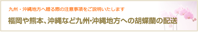 禾Q熴塼W <