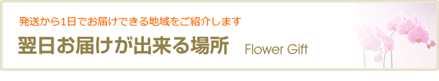 翸P   ザ?
