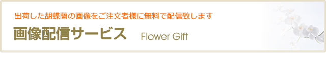 画酺䥹ズ/></div>
<hr class=