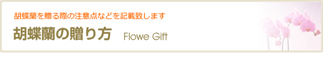 !/></div>
<hr class=