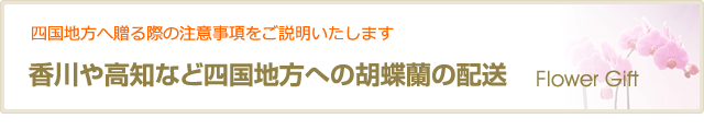 香川や高知など四国地方への胡蝶蘭の配送