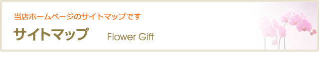サ