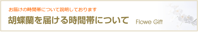 胡蝶蘭を届ける時間帯について