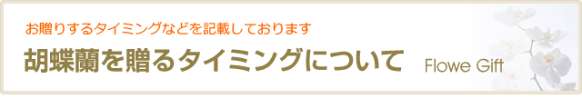 胡蝶蘭を贈るタイミングについて