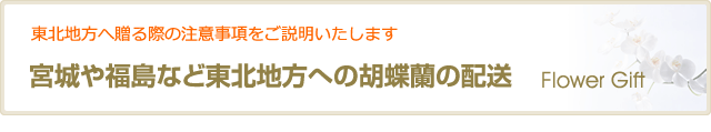 宮エER;/></div>
<hr class=