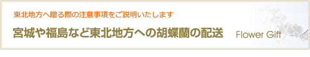 宮城や福島など東北地方への胡蝶蘭の配送
