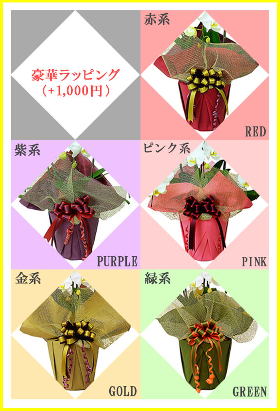豪