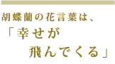 胡蝶蘭の花言葉