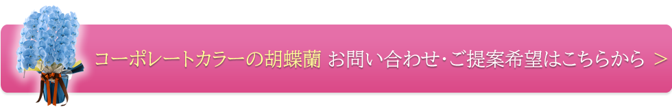 コーポレートカラーの胡蝶蘭 お問い合わせ・ご提案希望はこちらから