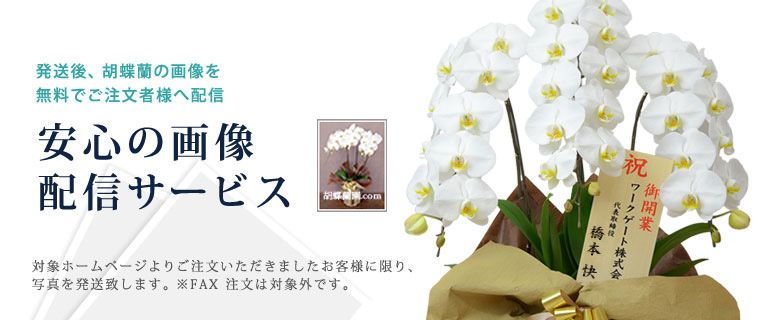 新R25掲載記事内の図版