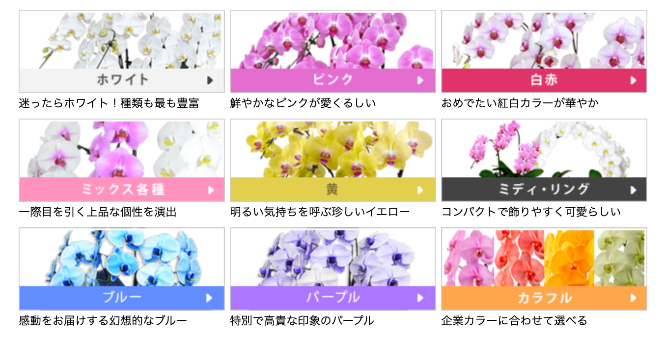 新R25掲載記事内の図版