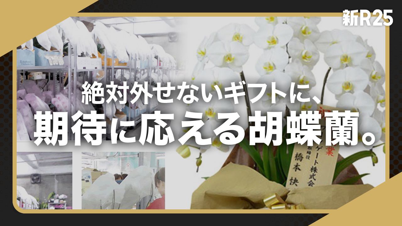 失敗できない贈り物に“安心”という価値を。胡蝶蘭専門サイト「胡蝶蘭園.com」が選ばれる理由