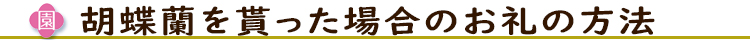 胡蝶蘭を貰った場合のお礼の方法