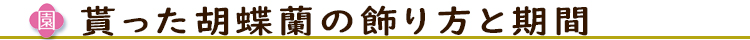 貰った胡蝶蘭の飾り方と期間