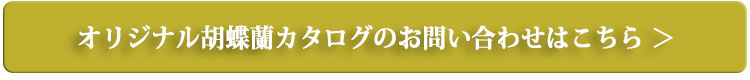 オリジナル胡蝶蘭カタログのお問い合わせはこちらから