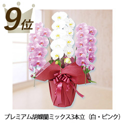 9位プレミアム胡蝶蘭ミックス3本立（白・ピンク）