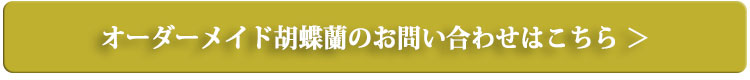 オーダーメイドの胡蝶蘭のお問い合わせはこちらから