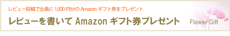 レビューを書いてAmazonギフト券プレゼント