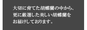 高品質について