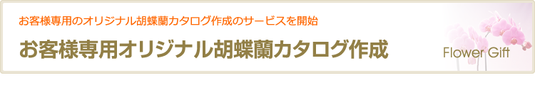 お客様専用オリジナル胡蝶蘭カタログ作成