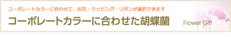 コーポレートカラーに合わせた胡蝶蘭