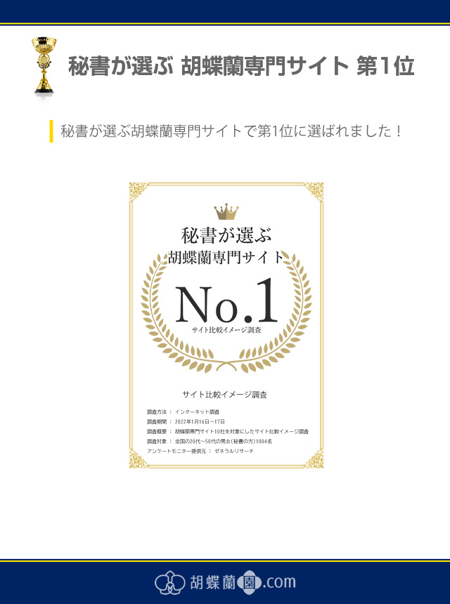 秘書が選ぶ胡蝶蘭専門サイト第1位