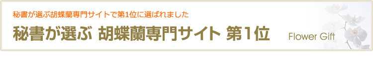 秘書が選ぶ胡蝶蘭専門サイト第1位