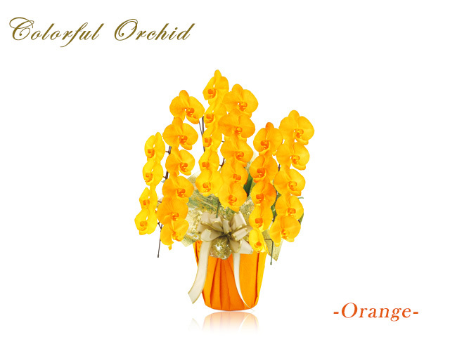 カラフル胡蝶蘭3本立30輪(オレンジ)