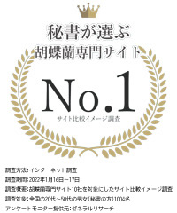 秘書が選ぶ胡蝶蘭専門サイト第1位