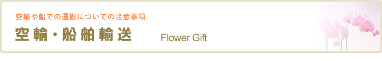 空輸や船舶での輸送について