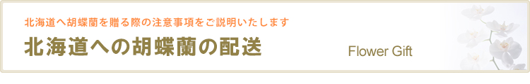 北海道への胡蝶蘭の配送