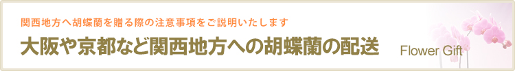 大阪や京都など関西地方への胡蝶蘭の配送