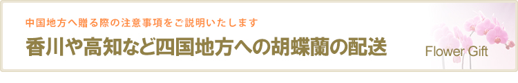 香川や高知など四国地方への胡蝶蘭の配送
