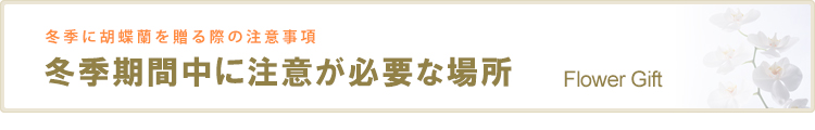 冬季期間中に注意が必要な場所