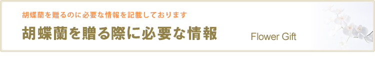 胡蝶蘭を贈る際に必要な情報