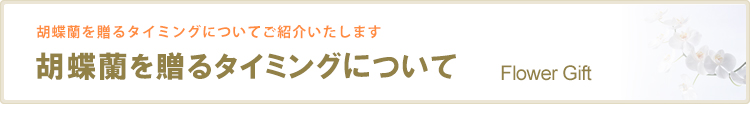 胡蝶蘭を贈るタイミングについて