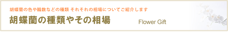 胡蝶蘭の種類やそれぞれの相場